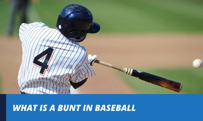 what is a bunt in baseball