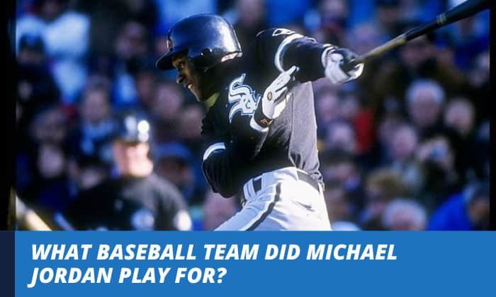what baseball team did michael jordan play for