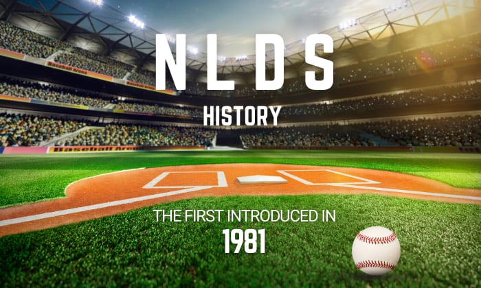 NLDS-History