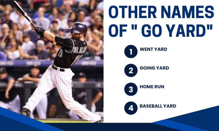 The-Usage-of-go-yard-in-baseball