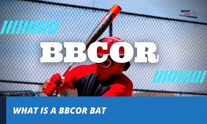 what is a bbcor bats