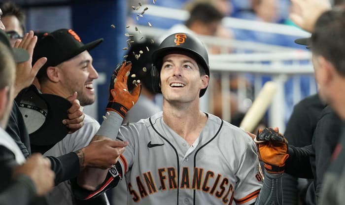 origins-and-traditions-of-sunflower-seed-chewing-in-baseball