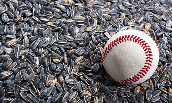 sunflower-seeds-in-baseball
