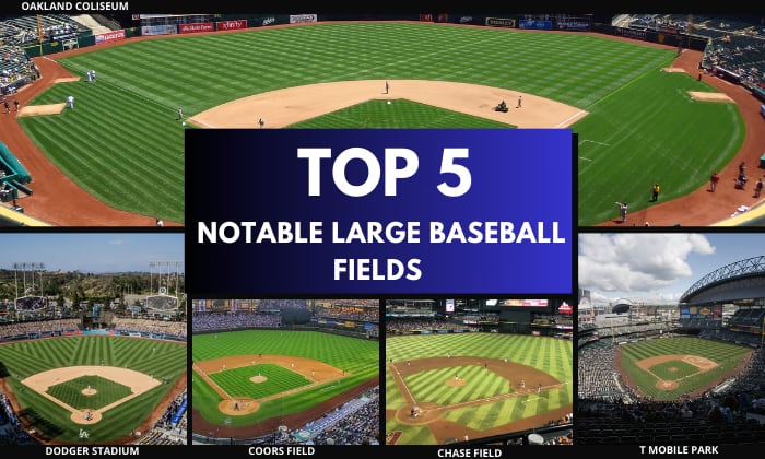 Notable-Largest-Fields